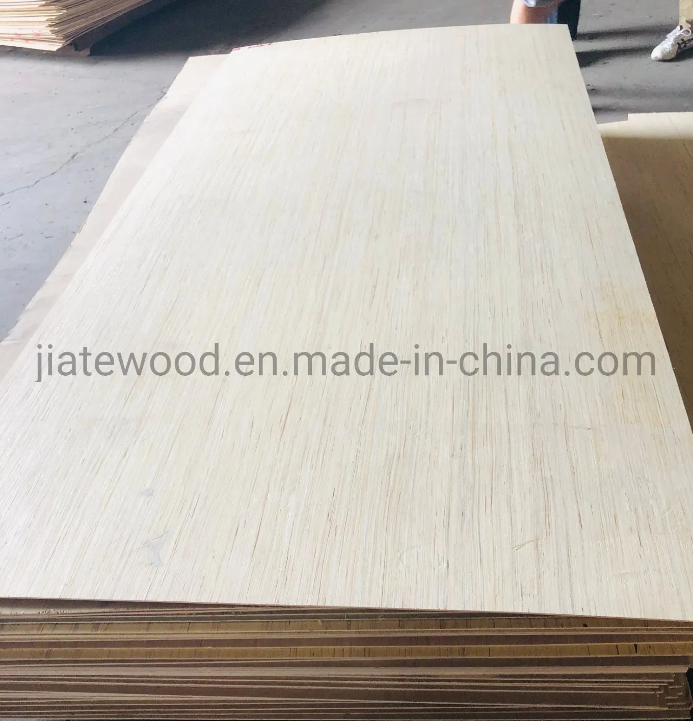 EV Poplar Plywood in Size 1220X2440 mm