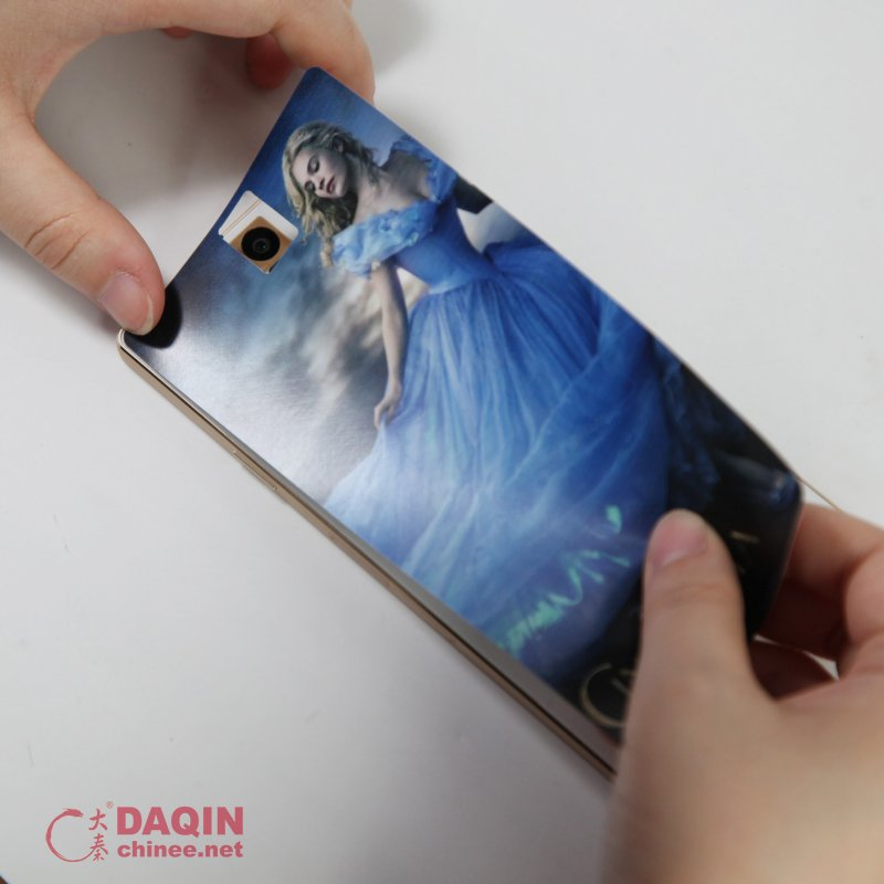 Mobile Phone Sticker for European Football Championship