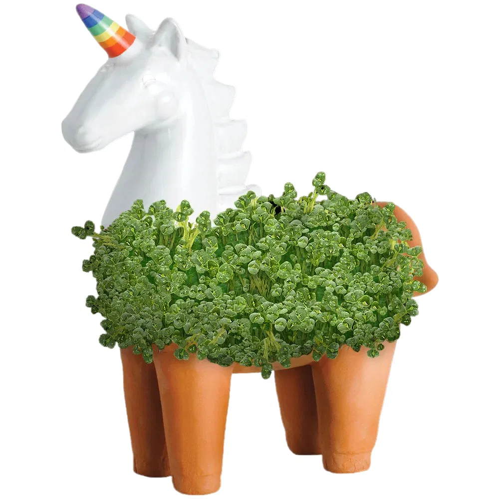 White Unicorn Anime Chia Pet Planter Cute Cartoon Terracotta Flower Pot