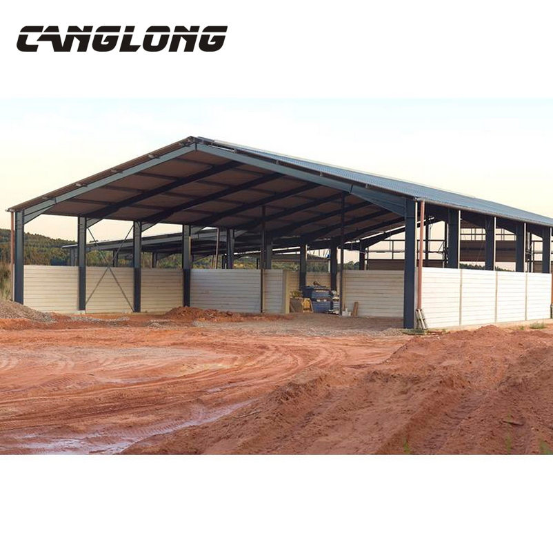 Prefabricated Warehouse Steel Structure Shed Steel Warehouse Building in Angola