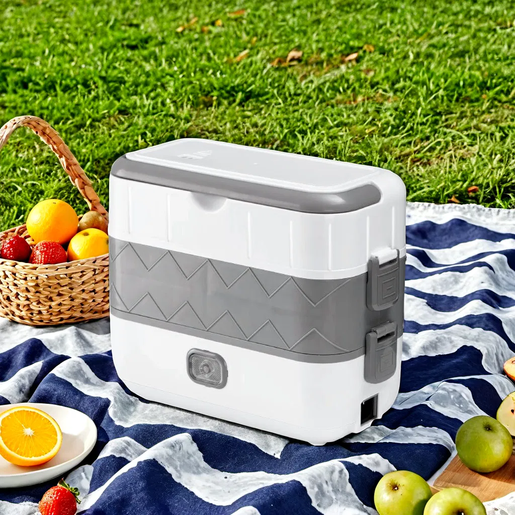 Portable Electric Lunch Box for Work and School Use