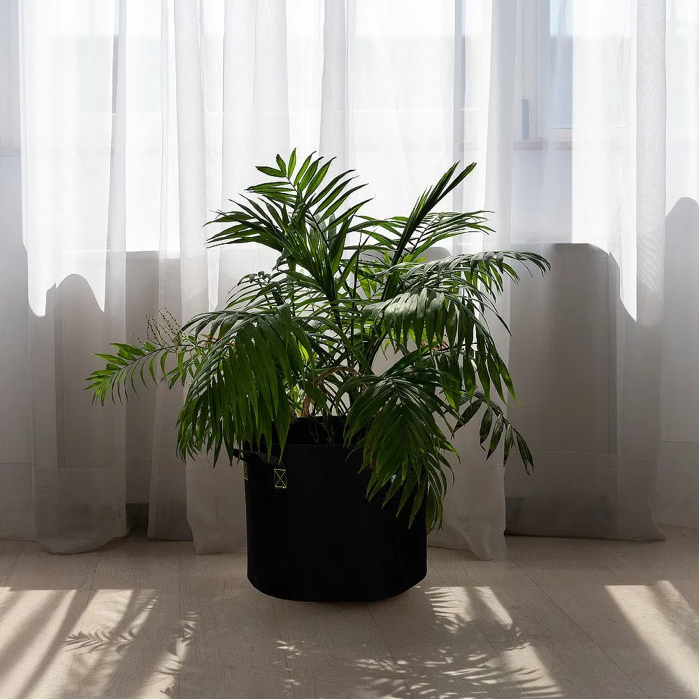 Double-Layer Heavy Duty Nonwoven Garden Plant Pots Breathable for Root Growth with Sturdy Handles