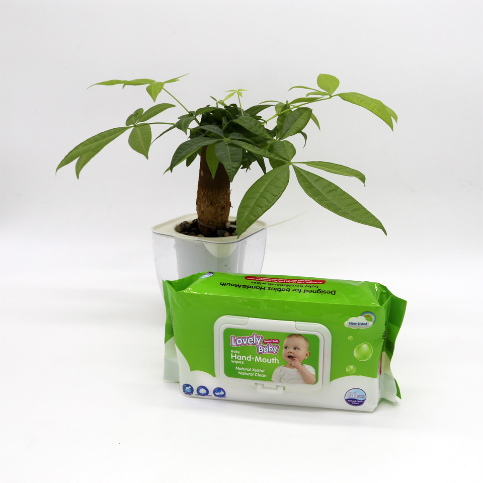 Disposable Wet Wipes Clean Hand Wet Wipe Water Wipe Baby Wipes