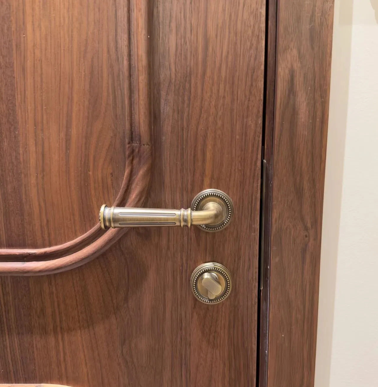 Square North American Black Walnut Veneer Solid Wood Trendy Interior Wood Door