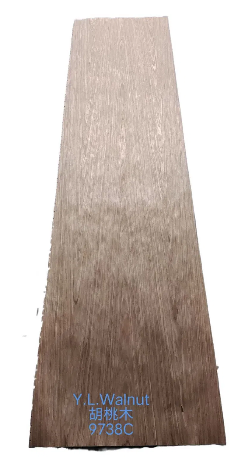 Beautiful Red Oak Leather with Beautiful Patterns and Textures, Used for Making Furniture.