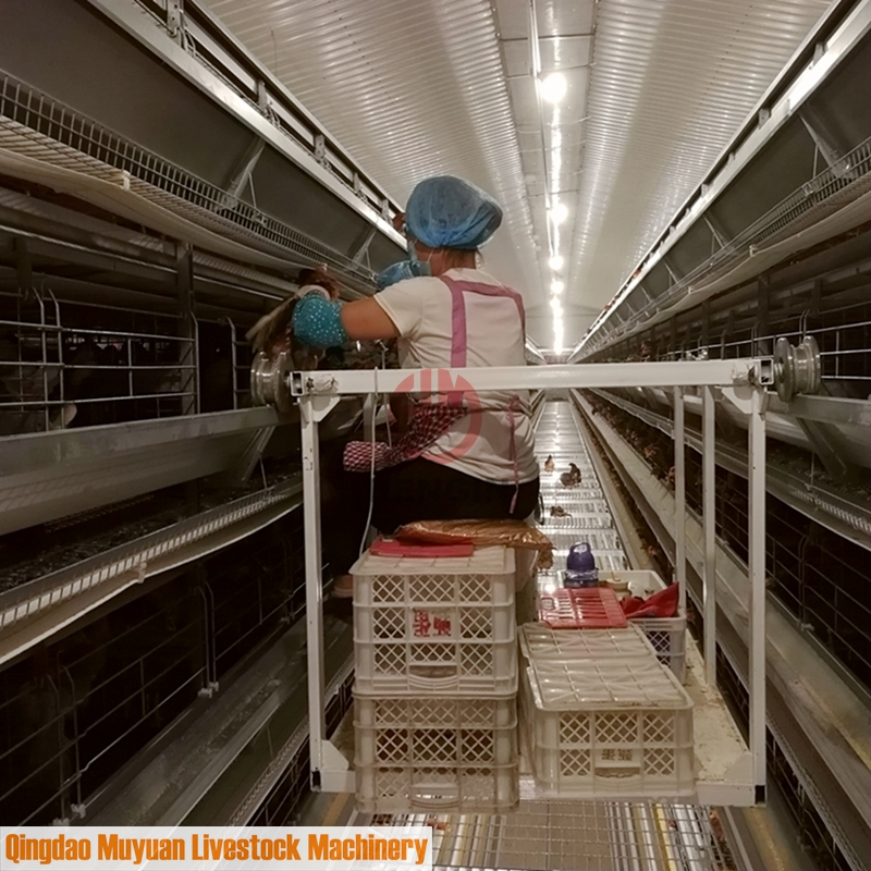 Автоматическая клетка для кур-несушек H-образная, оцинкованная