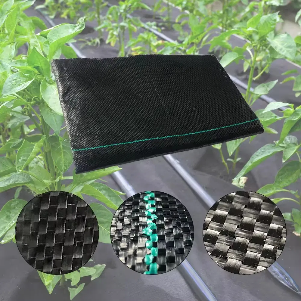 Anti Grass PP Woven Grass Control Cloth Plant Ground Cover Landscape Black Plastic Weed Barrier