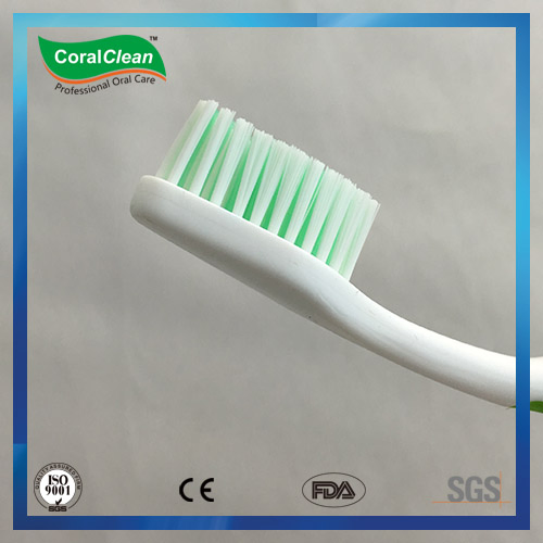 Simple Design Adult Toothbrush with Nylon Filamens
