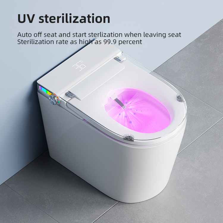 Sanitary Ware Closestool One Piece Smart Toilet with Automatic Flushing Ceramic Smart Intelligent Toilet Automatic Flush Toilet