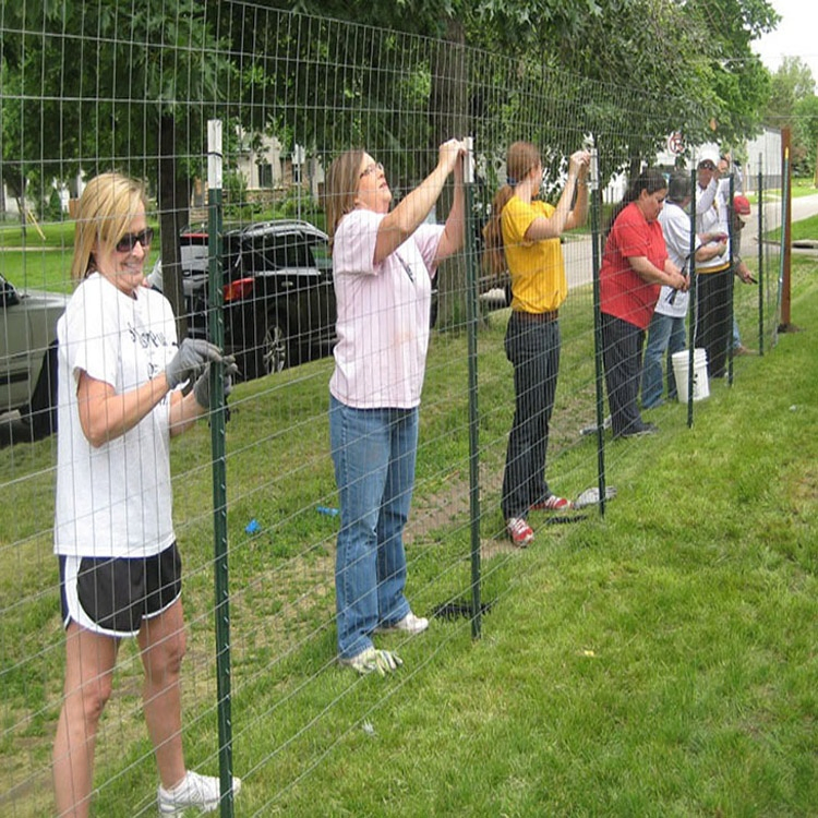 Hot Product Grassland Farm Used T Type T Posts for Euro Market