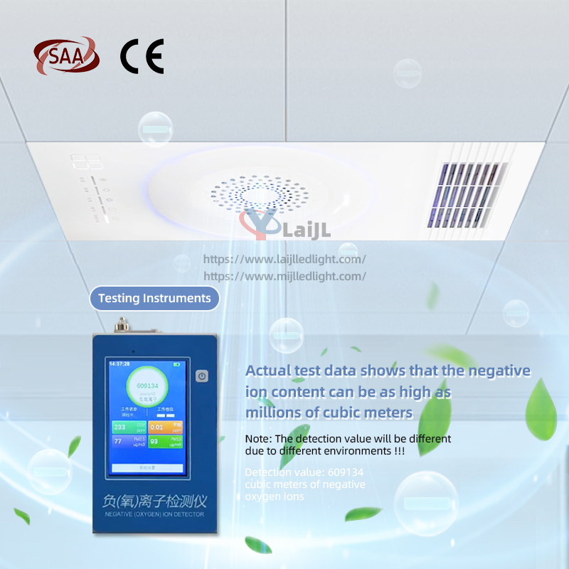 Australia SAA Certified Portable Electric Heater for Bathroom Use