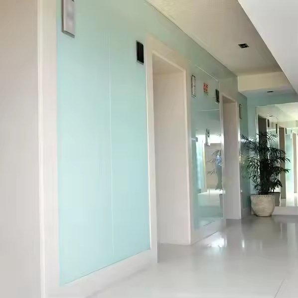 5mm 6mm 8mm Painted Glass: White, Black & Low Iron Varieties Grey Back & Colorful Lacquered