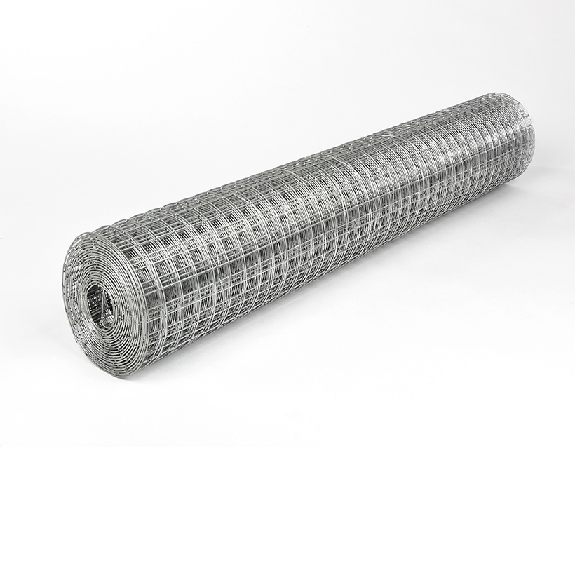 China Wholesale Galvanized or PVC Coated Welded Wire Mesh