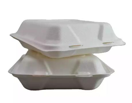 Biodegradable Takeaway Food Box Container Sugarcane Bagasse Hamburger Clamshell 8" 9"