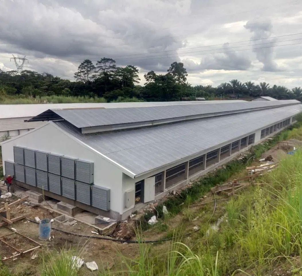 Prefabricated Steel Structure Poultry Farm Livestock Chicken House Coop Shed