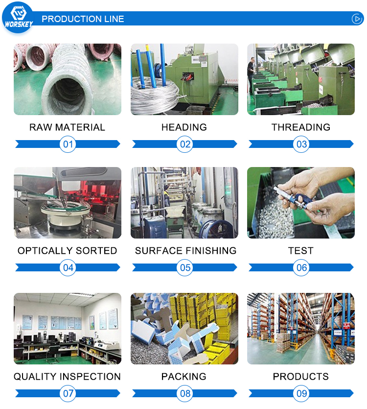 Stainless Steel Hardware Product Steel Shackle D Shackle