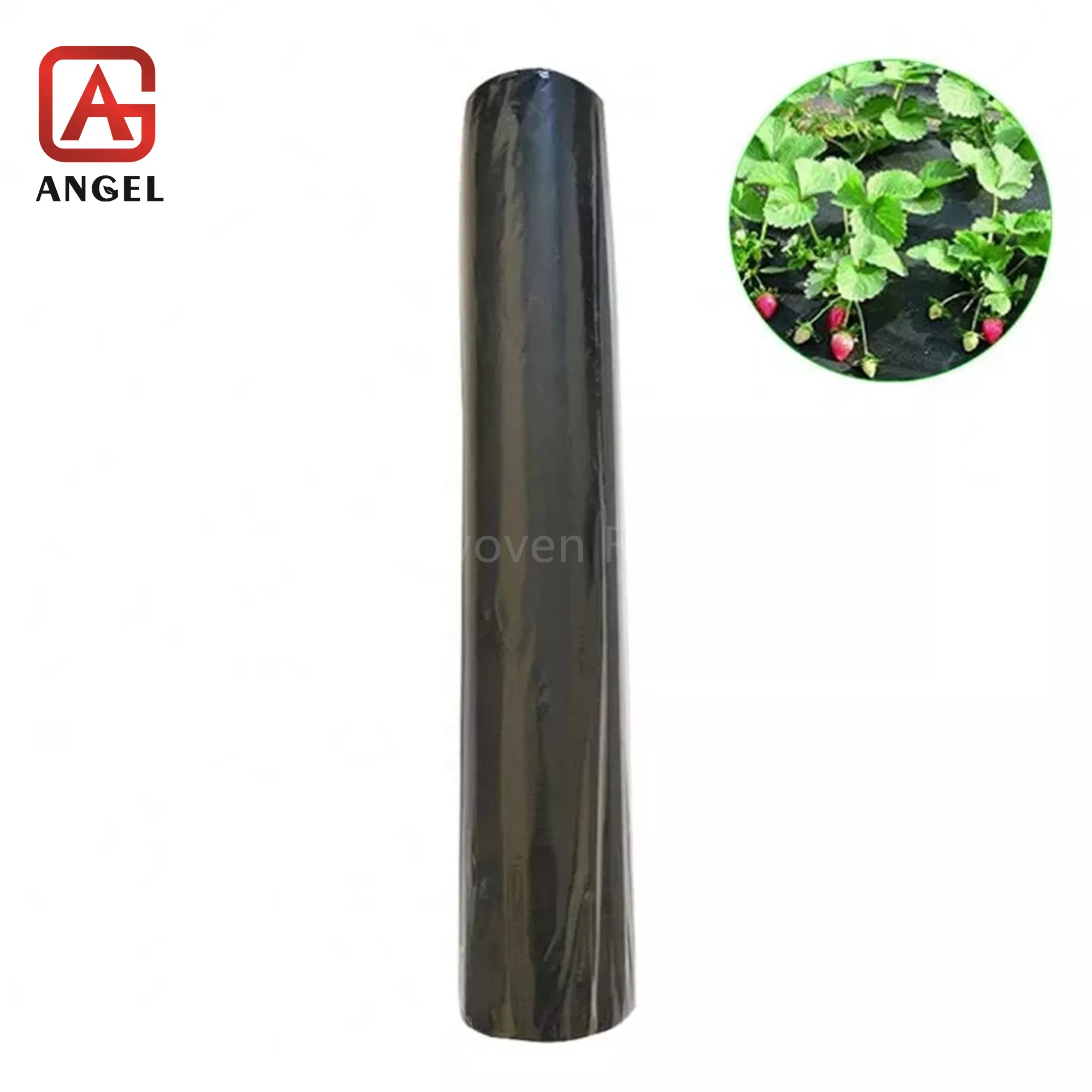 Polypropylene Non-Woven Ground Cover Anti-Grass Weed Barrier Control Mat for Agriculture