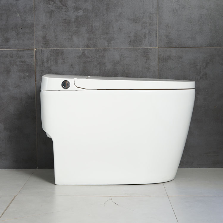 Mechanical Fitting Foot Kick Flush Ceramic Sanitary Toilet