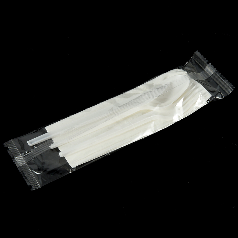 PS Plastic Spoon Fork Disposable Plastic Cutlery of Plastic Fork Spoon