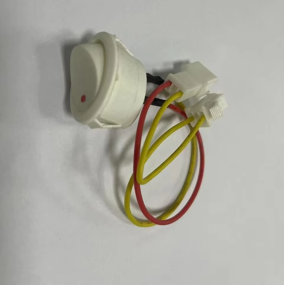Spare Parts on off Switch for Gas Hot Water Heater