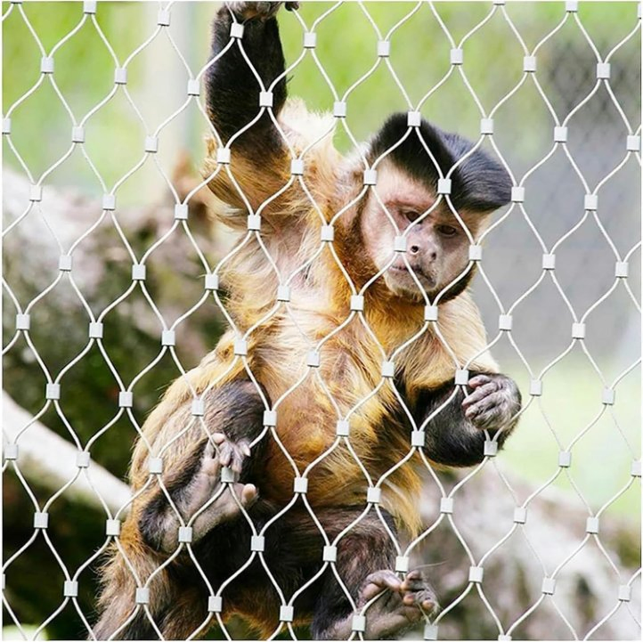 Factory Sale 304 Stainless Steel Wire Rope Mesh Woven Stainless Steel Rope Mesh for Zoo Mesh Animals Protection