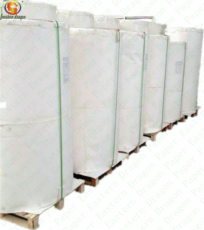 Eco-Friendly PE Coated Paper – Sustainable Solution for Ice Cream Packaging