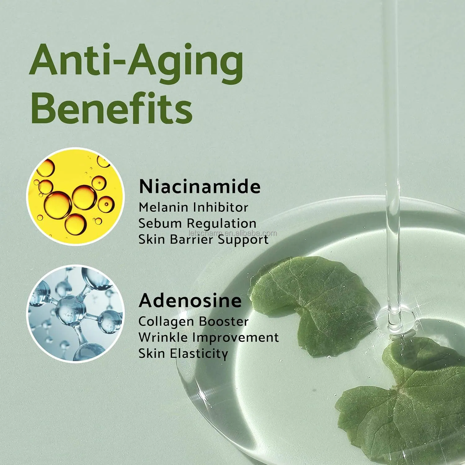 Ls08 OEM Custom Vegan Tea Tree & Centella Calming Serum