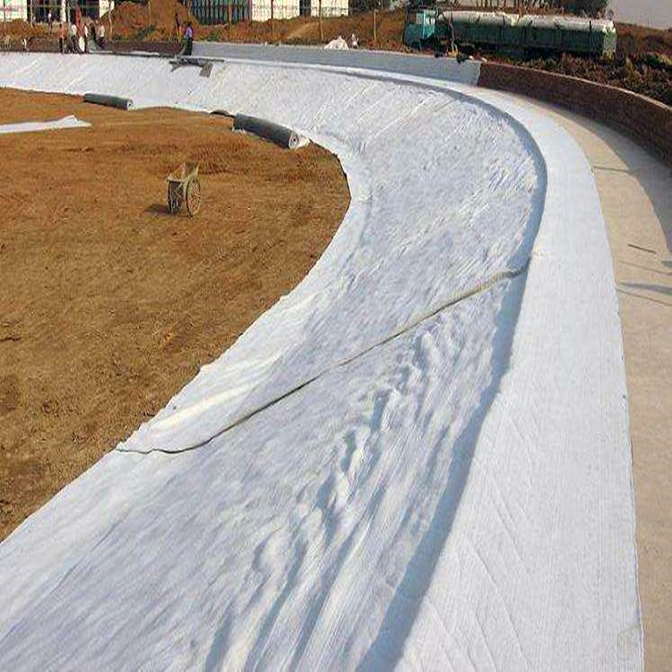 Black White High Strength and Durability PP/Pet Non-Woven Geotextile for Highway Railway Foundation