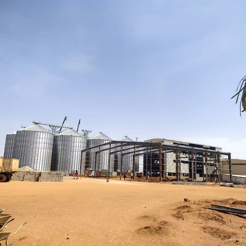 Popular Wholesale Industrial Prefabricated Steel Structure Mill Plant with Low Cost