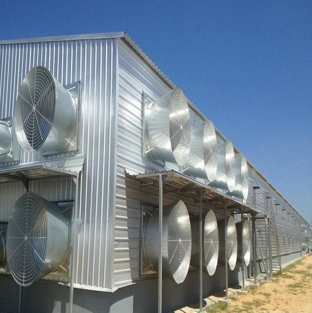 Design Egg Layer Battery Chicken Cage System Prefabricated Steel Structure Poultry Farm House