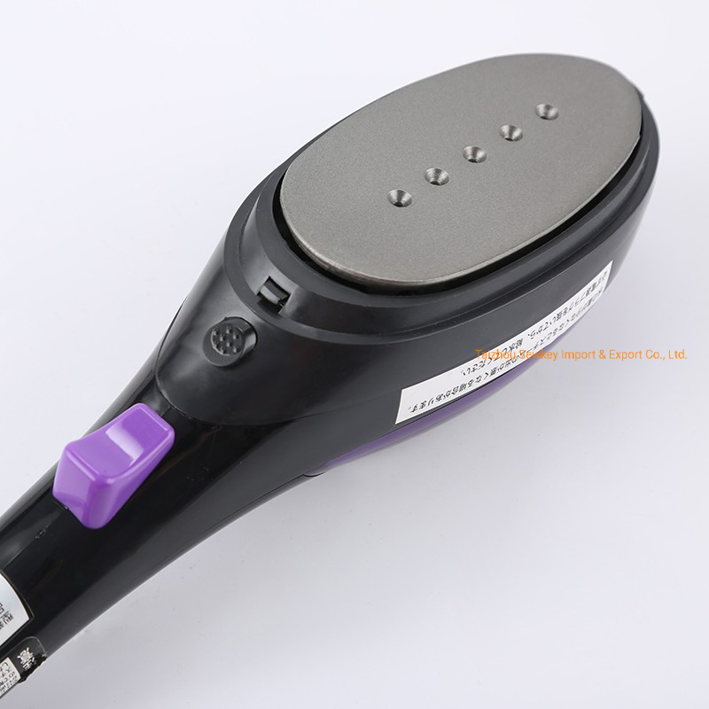 Sk-009A High Quality Multi-Steam Brush/Iron