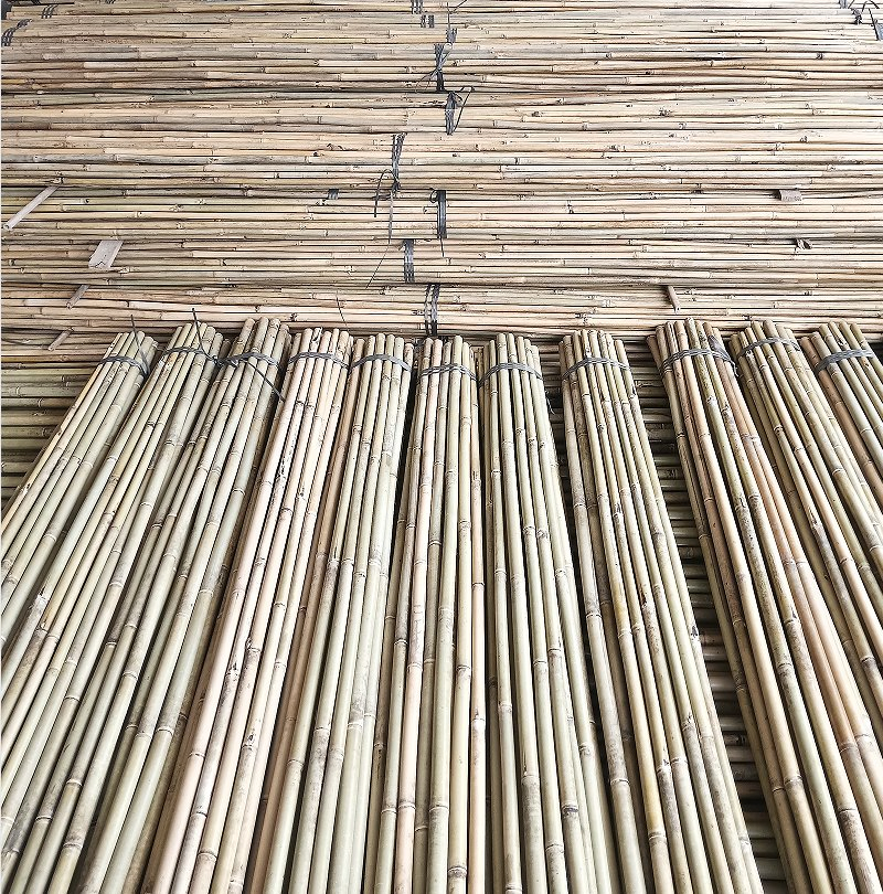 Plant Support Bumper Stickers Are Premium Products From China