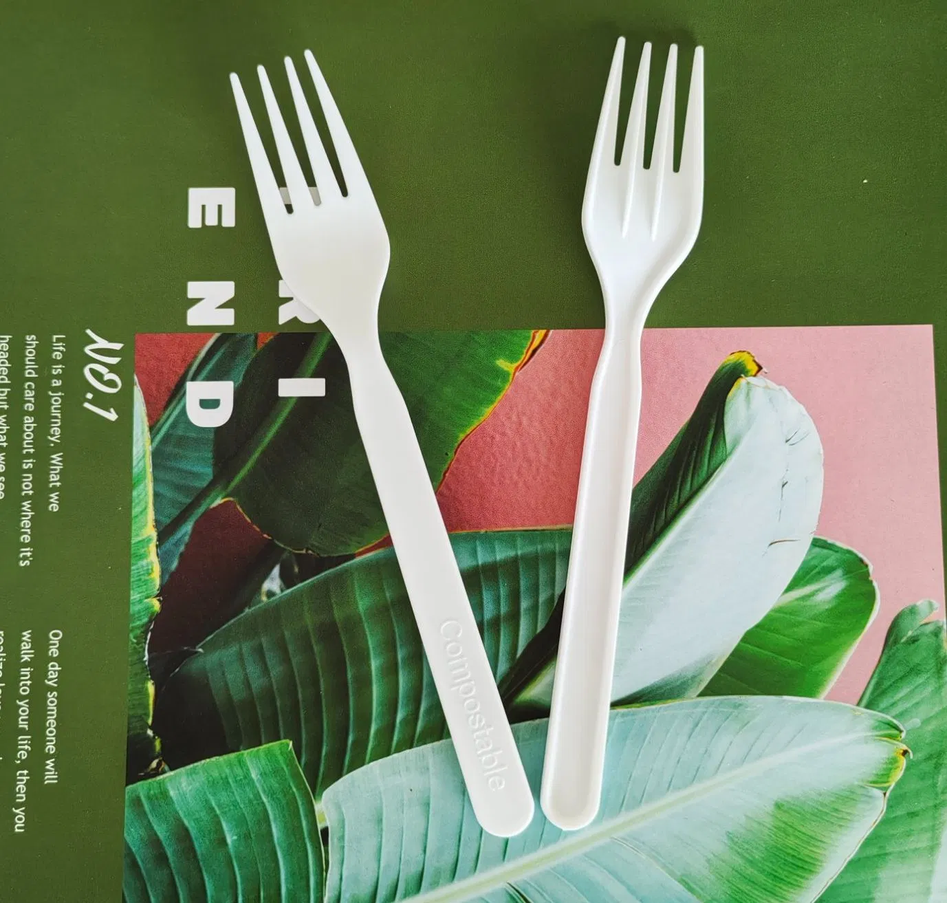 High Quality Factory Price Eco Compostable Forks Disposable PLA Cutlery Fork Knife