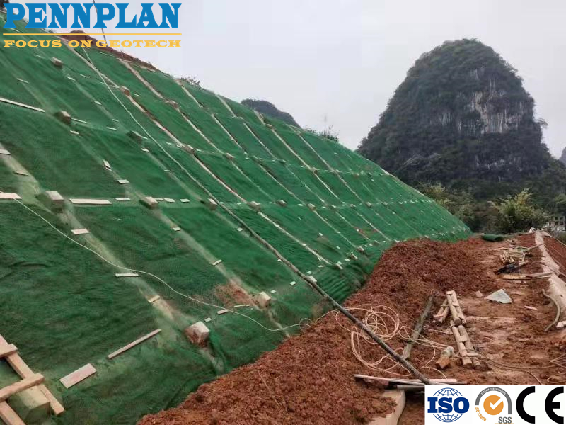 3D HDPE Geomat for Slope Protection Erosion Control Mat Geomat
