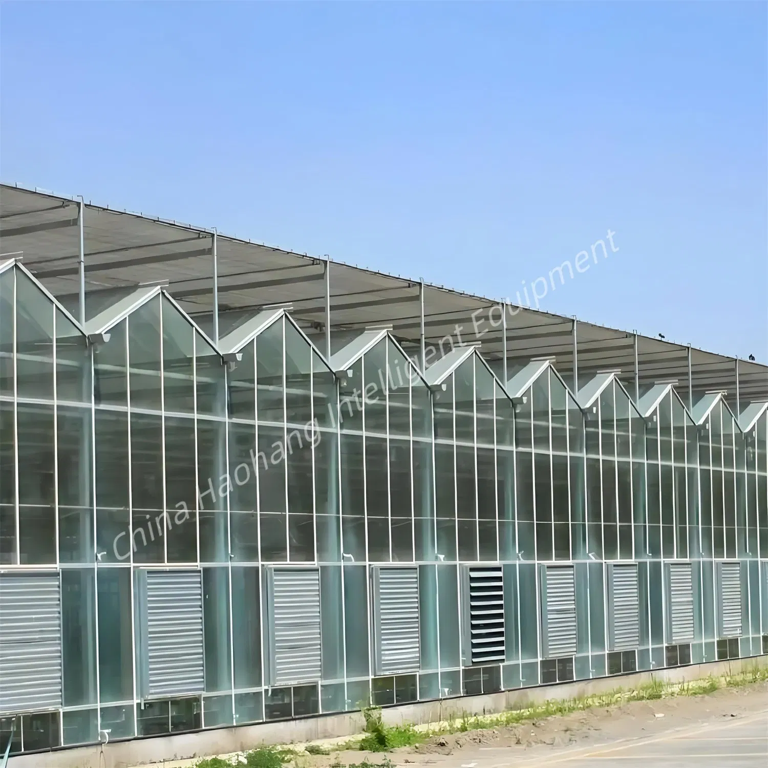 Cheap Tomato Vegetable Greenhouse