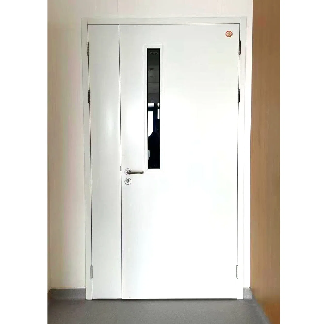 Exterior & Interior Single or Double Modular Stainless Steel Cleaning Security Clean Room Steel Entry Door in Pharmaceutical Industry