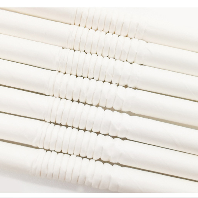 Cheapest Disposable Bamboo Biodegradable Paper Straws