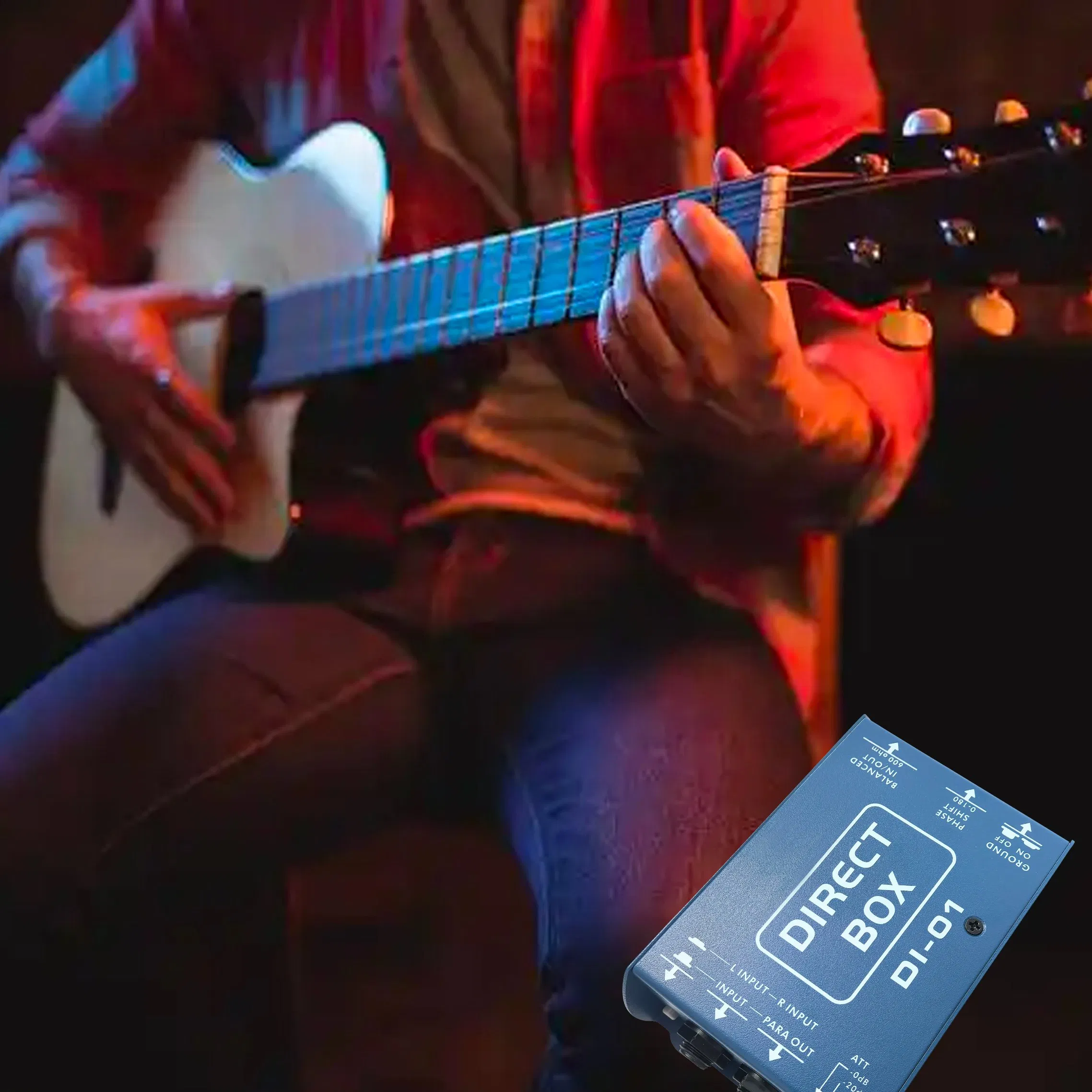 Passive Direct Box Audio Di Box Di-01 for Guitar at Factory Price