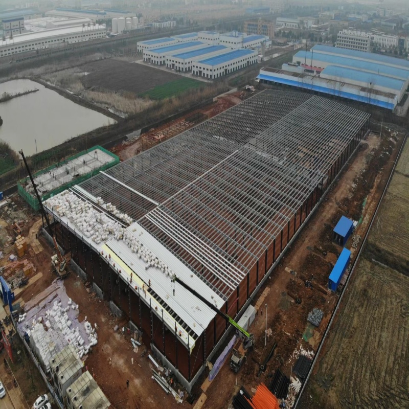 High Strength Prefabricated Resistance China Industrial Hanger Bridge Warehouse Construction Building Design Light Steel Shade Frame Structure