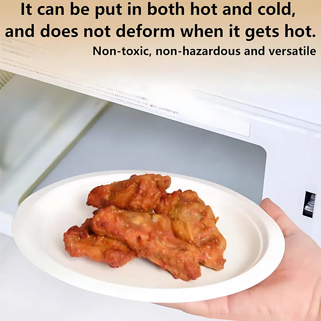 Round 10-Inch Bagasse Plate Sugarcane Container for Buffet Service with Raised Rim