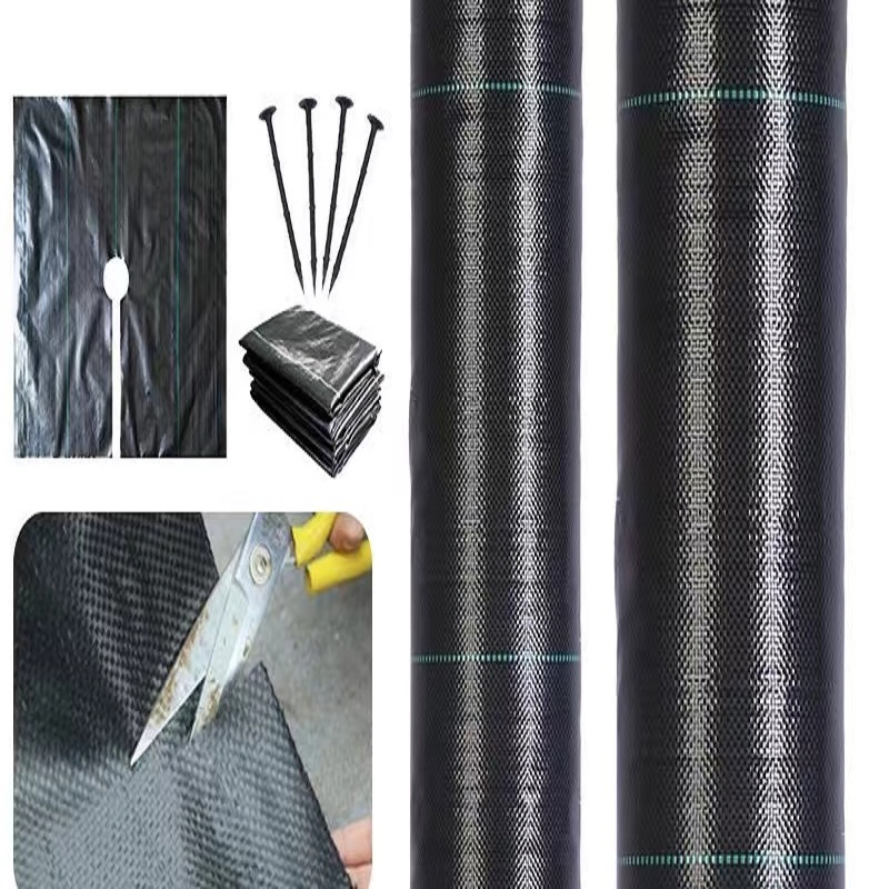 Durable Non-Woven Grass Proof Geotextile for Agriculture Needs