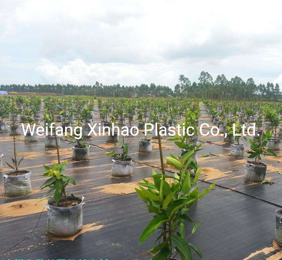 Weed Barrier Fabric Weed Control Carpet