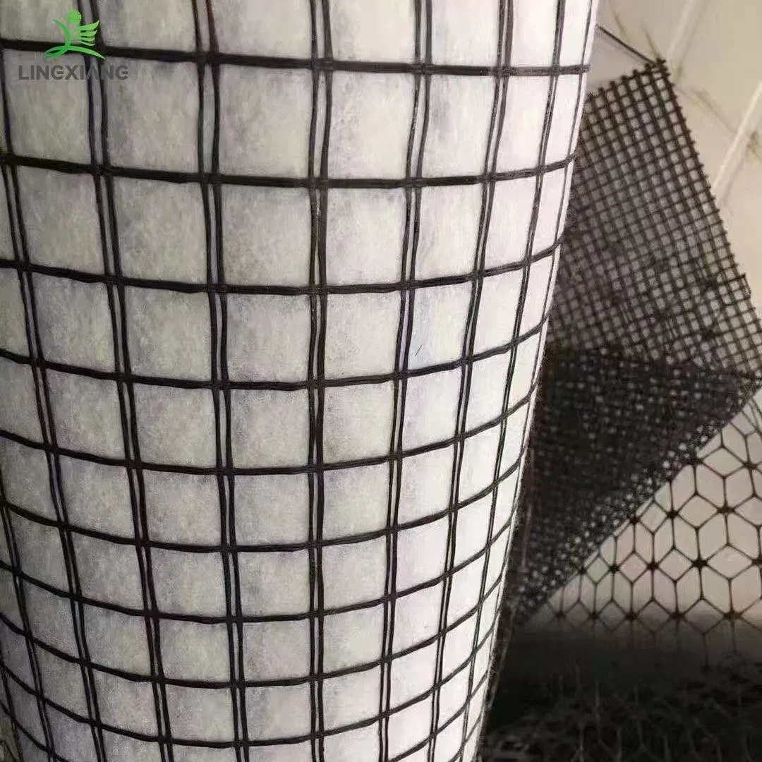China Factory Building Material Pet Polyester Geogrid for Mining Project Use Fiberglass Material Composite Geogrid