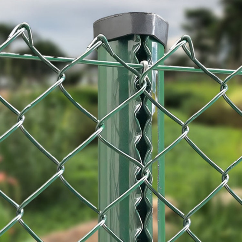 PVC or Plastic Vinyl Coated Diamond Roll Galvanized Chain Link Fence Wire Mesh