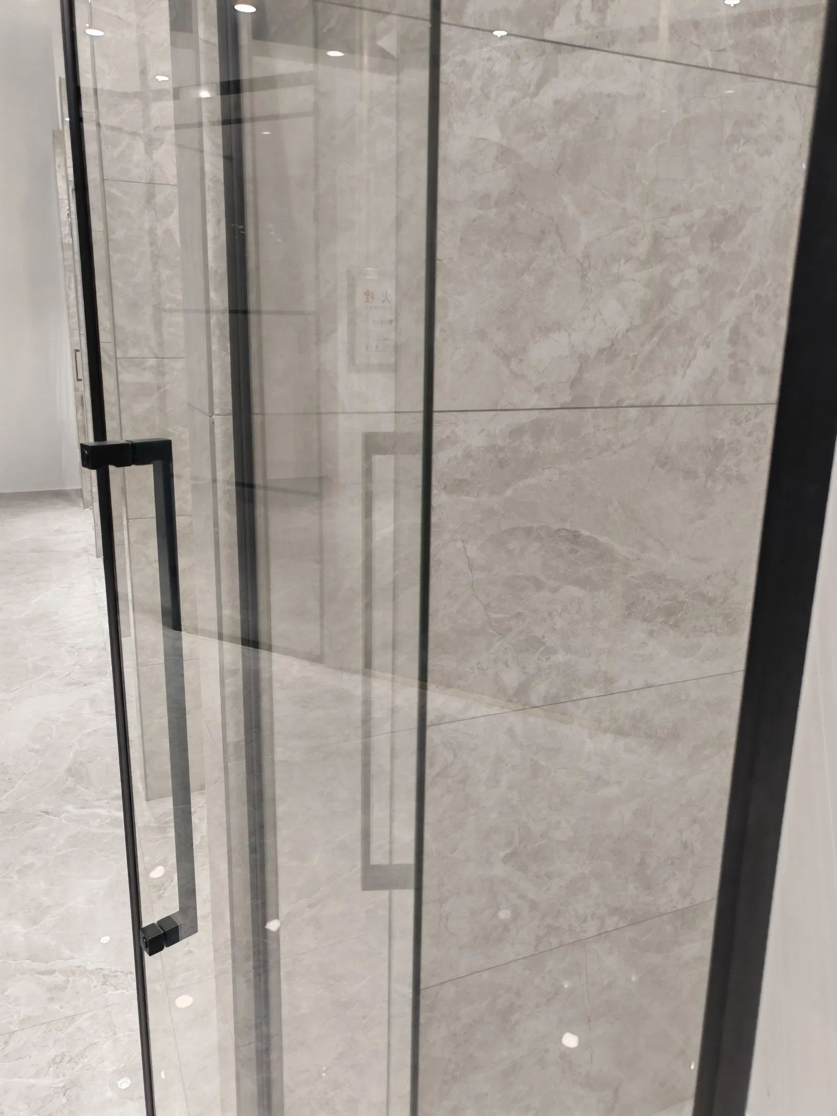 Modern Bathroom Shower Enclosure, Pivot Door, Hinge Door, Laminated Tempered