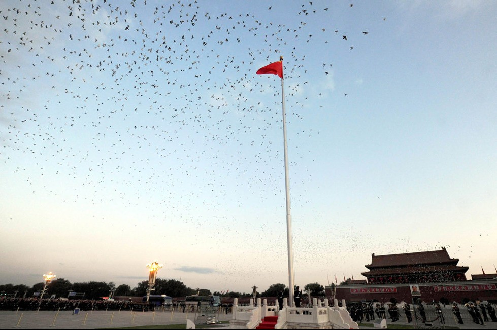 Stainless Steel Flagpole Manufacturer