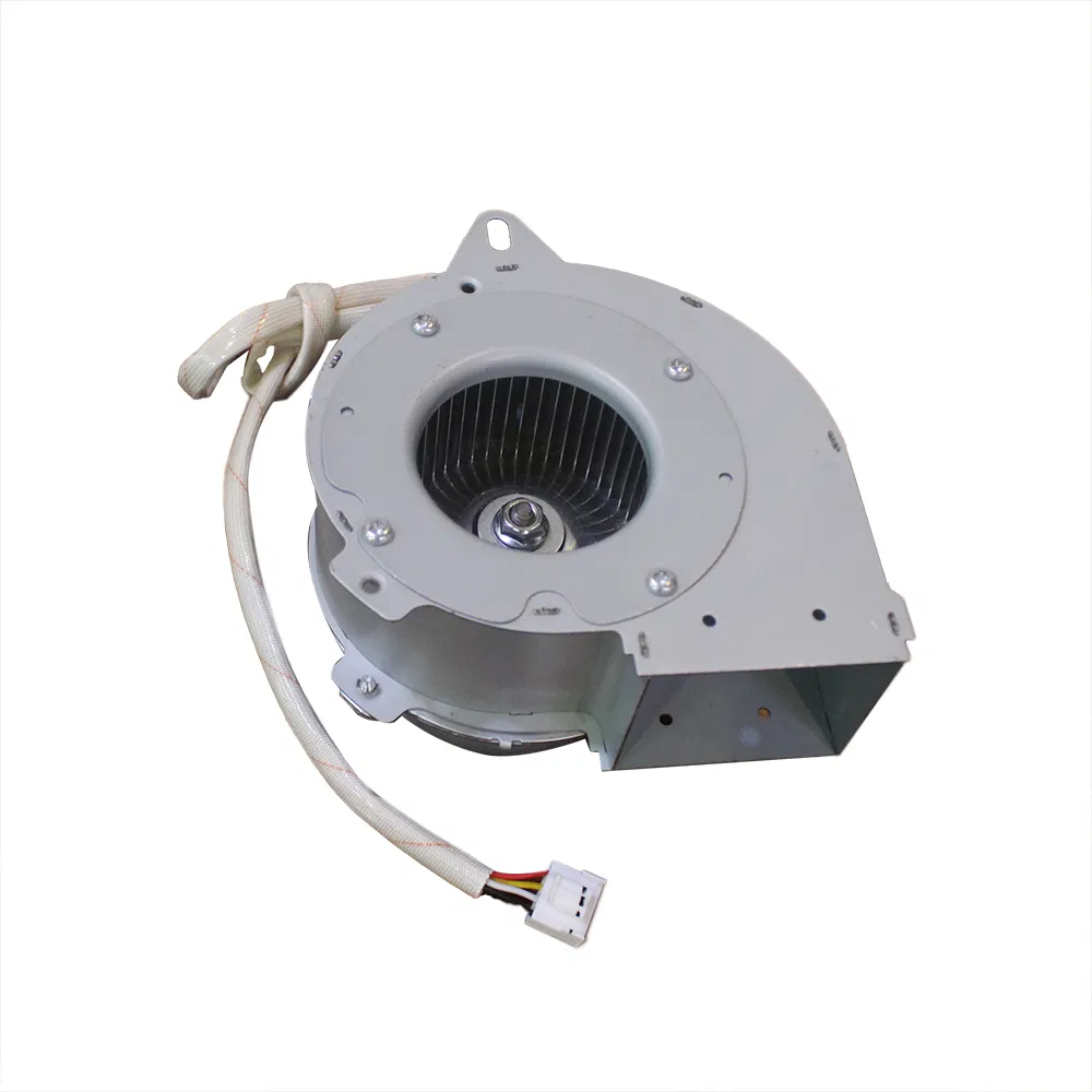 Gas Water Heater Forced Exhaust Motor