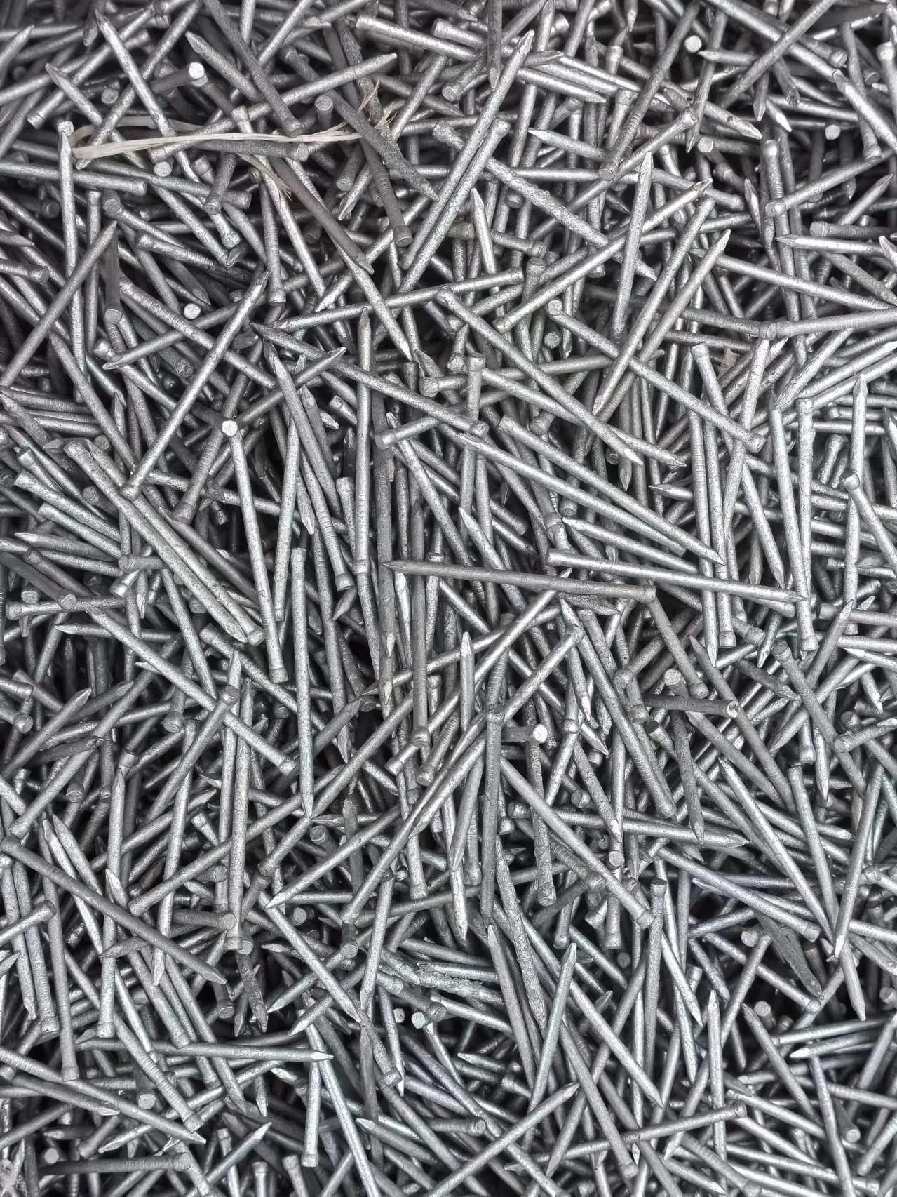Yellow Zinc Galvanized Wood Common Wire Nails