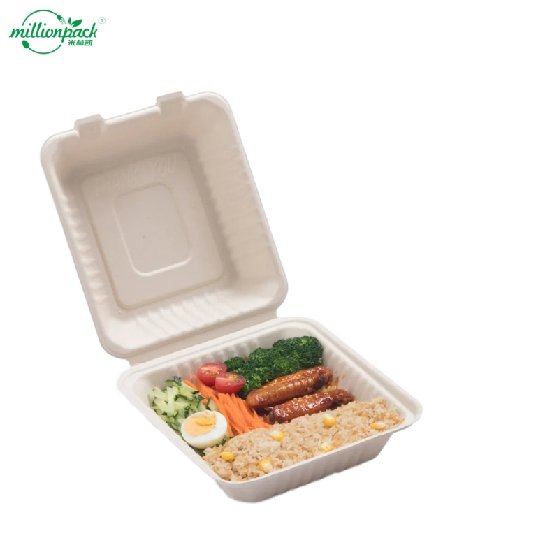 Hospital-Grade Biodegradable Sugarcane Box for Meal Delivery with Tamper Seal