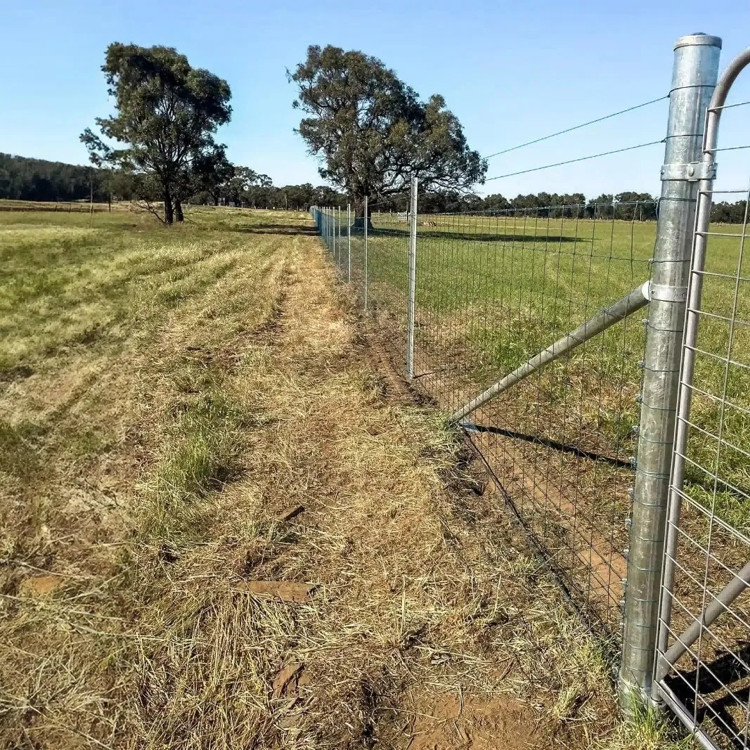 Heavy Duty Galvanized Steel Strainer Post for Farm & Ranch Fencing